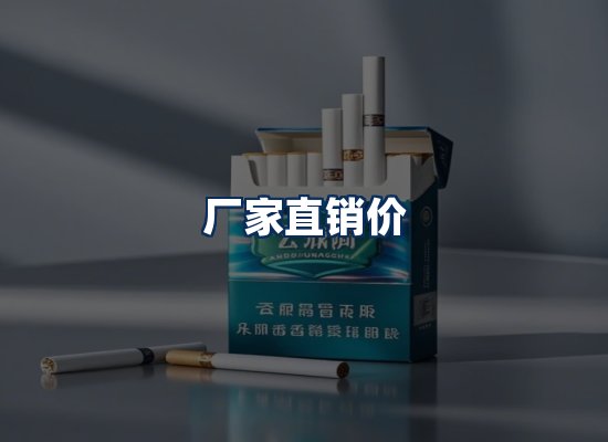 专业团队办公环境
